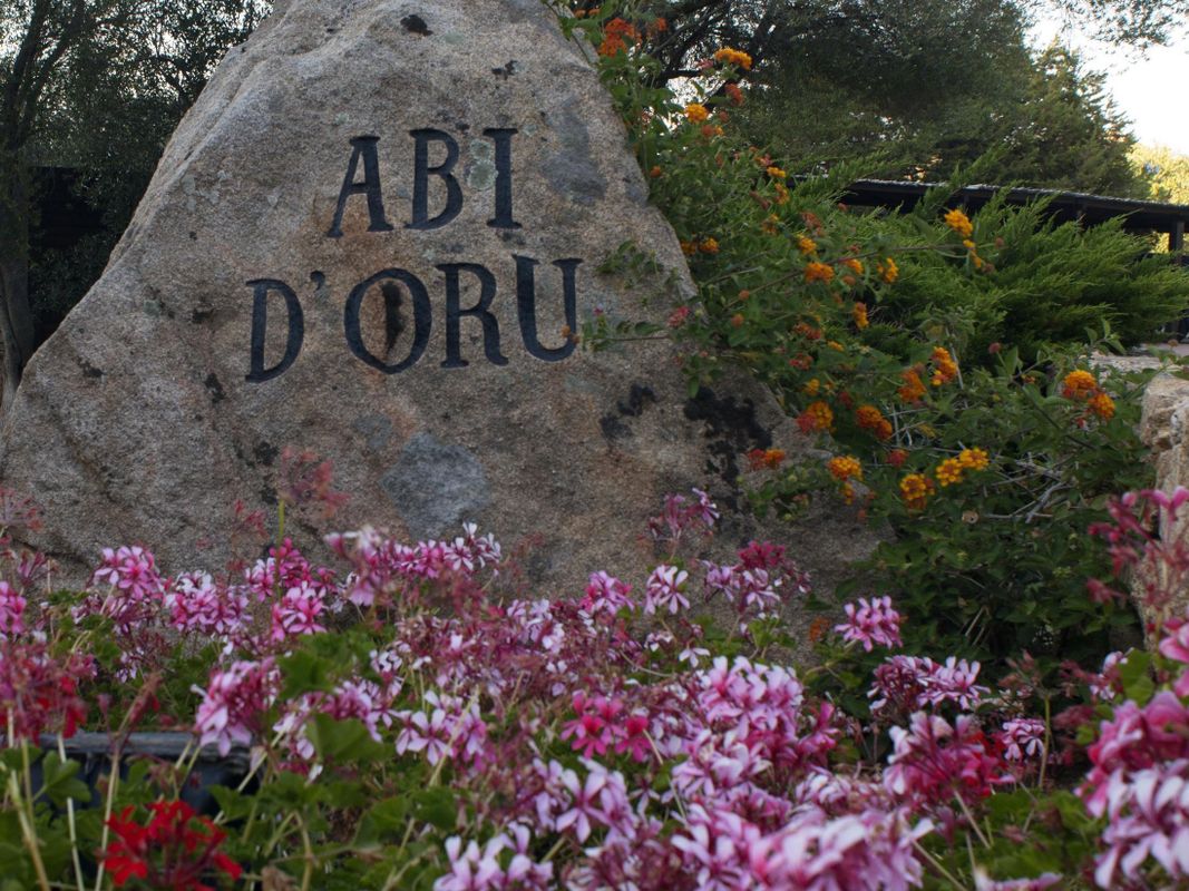 Hotel Abi D'Oru фото 27