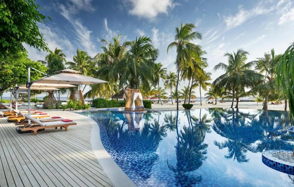 Niva Dhigali Maldives фото 47