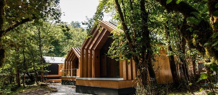 Фото отеля Енот