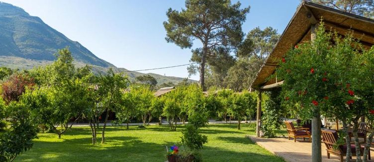 Фото отеля Koala Bungalows