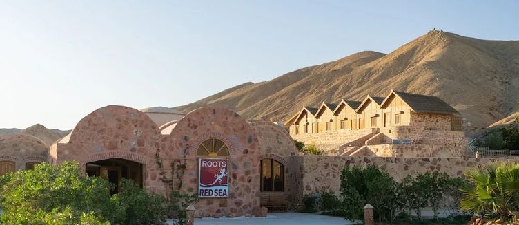Фото отеля Roots