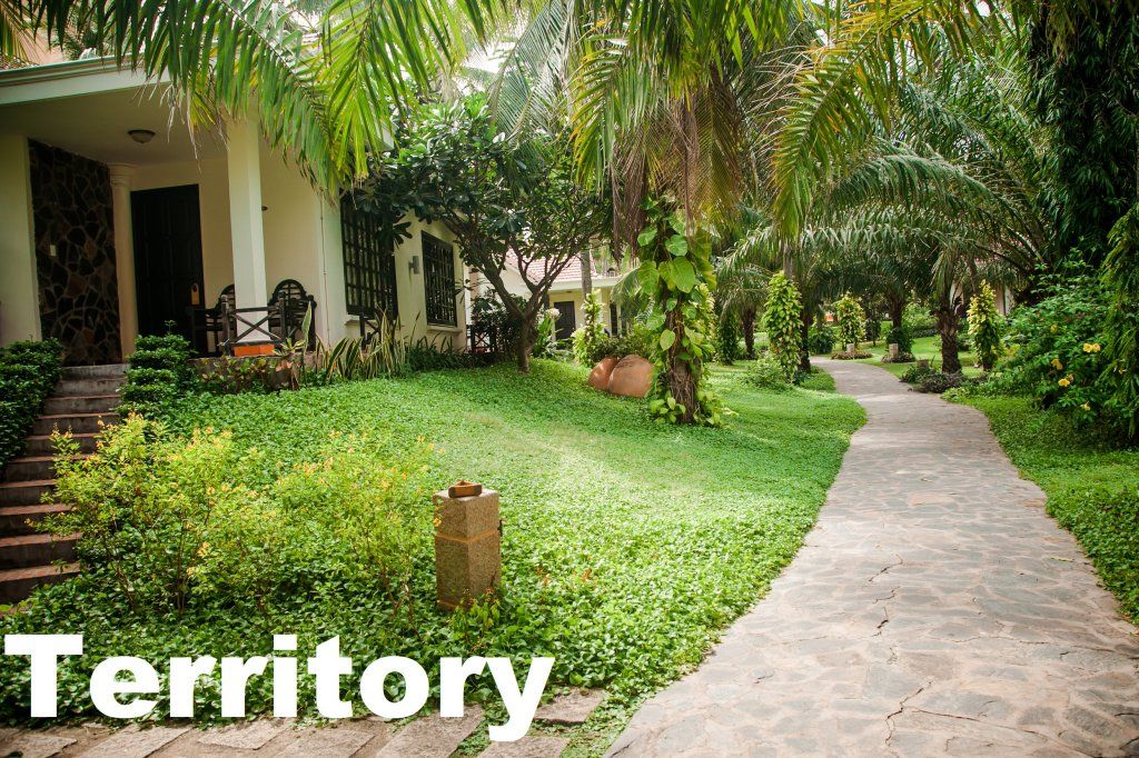 The Beach Resort фото 77