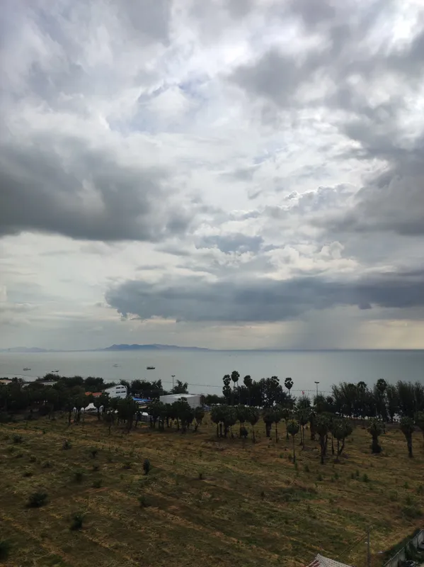 Pattaya Park Beach Resort фото 49