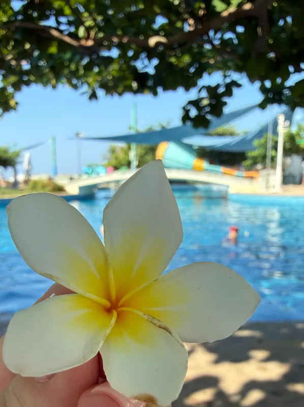 Horizon Resort & Spa фото 28