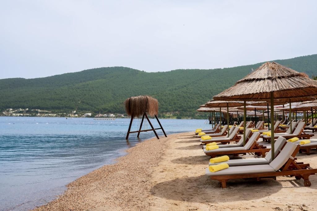 La Blanche Island Bodrum фото 115