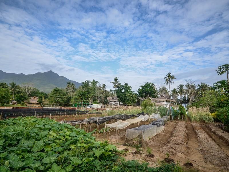 Daluyon Beach & Mountain Resort фото 12