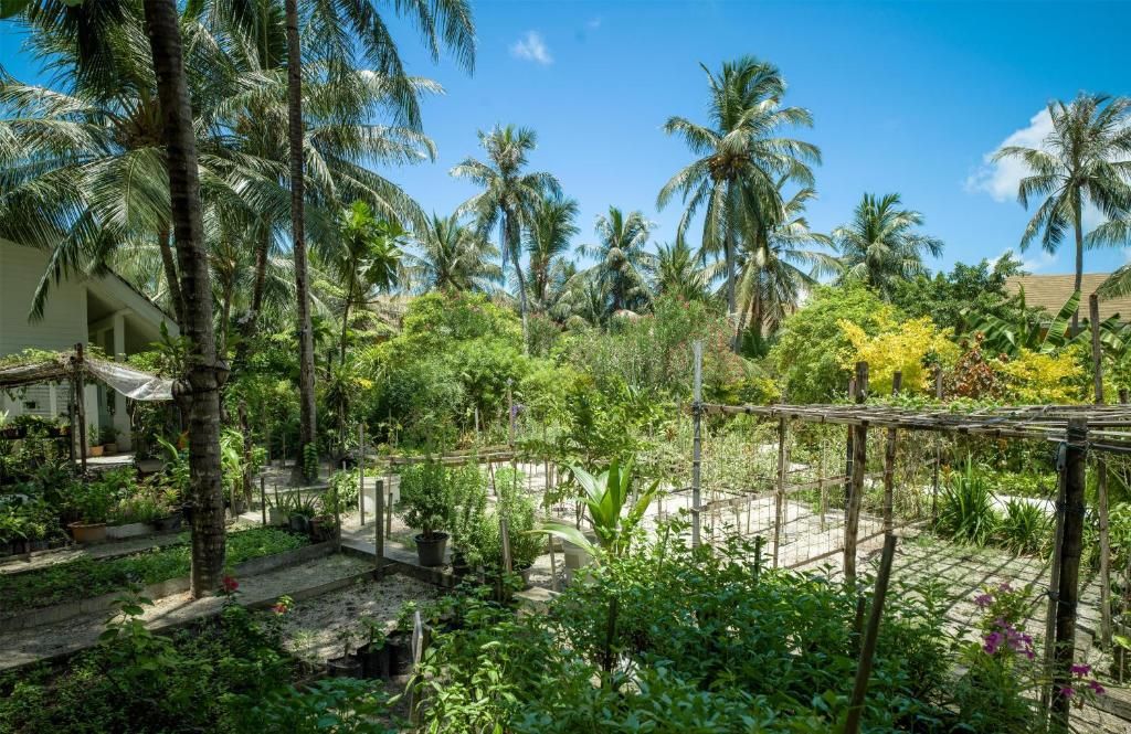 Saii Lagoon Maldives, Curio Collection By Hilton фото 135