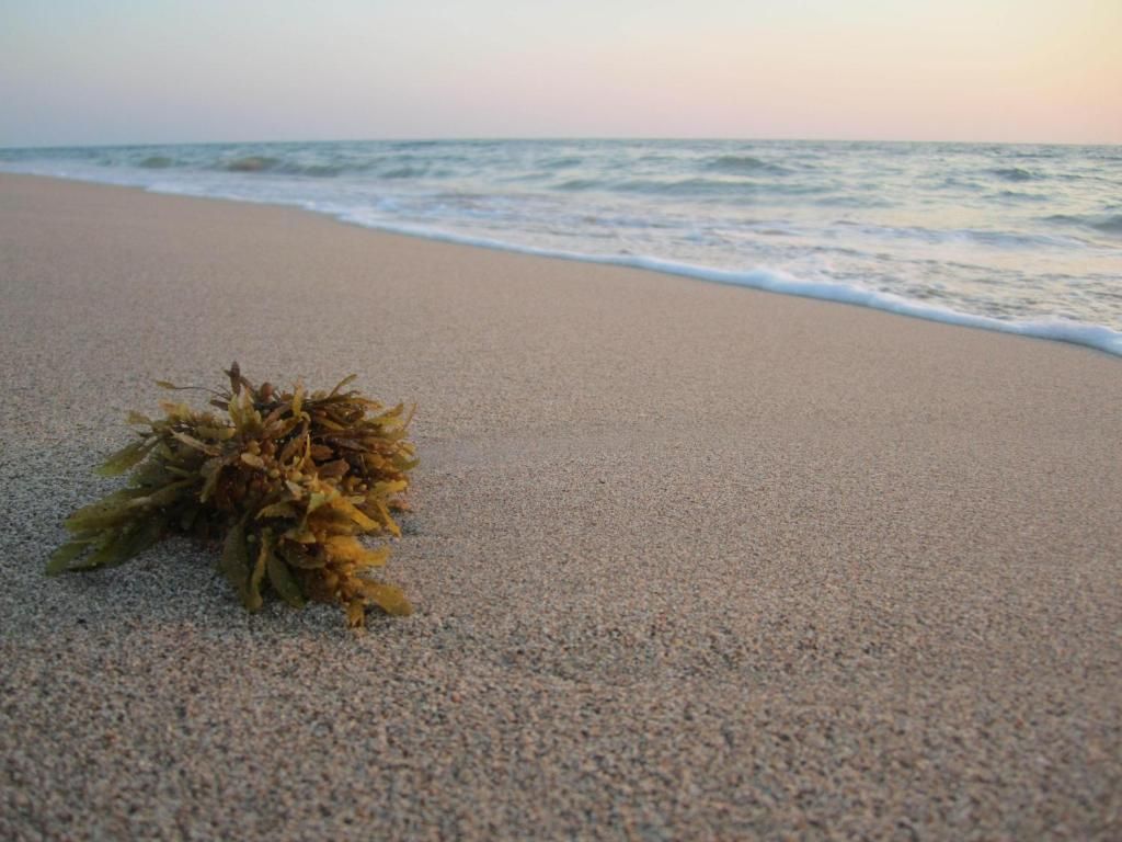 Lanta Ilmare Beach Resort фото 20