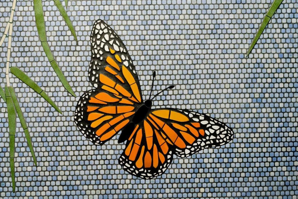 Aston Pacific Monarch фото 47