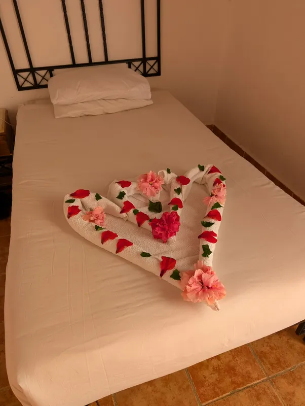 Protels Crystal Beach Resort фото 77