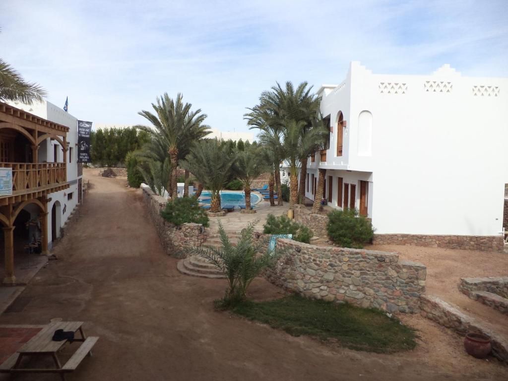 Dahab Divers фото 10