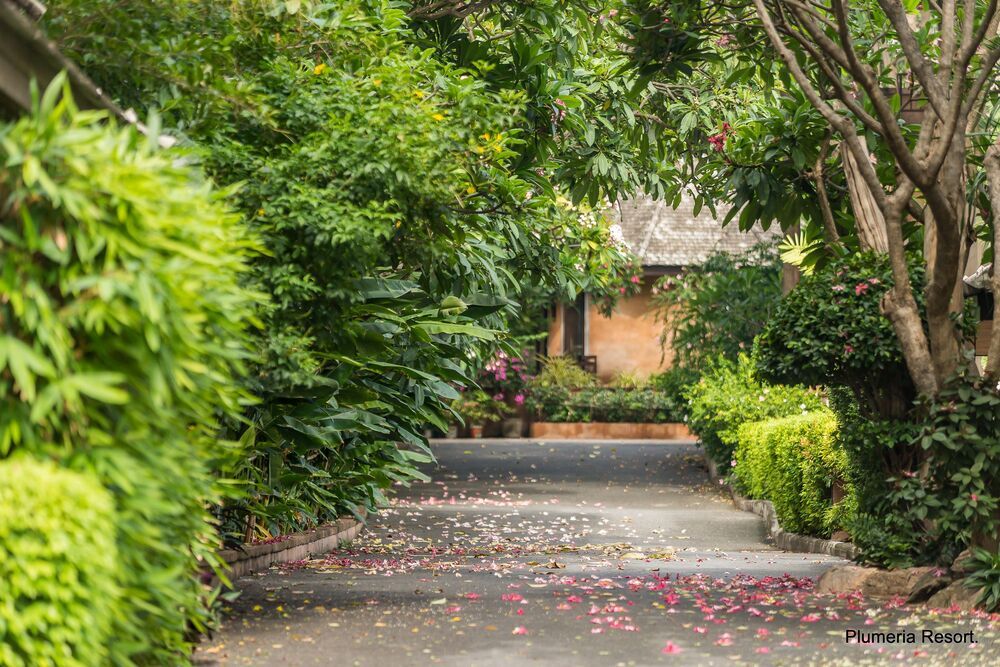 Plumeria Resort фото 64