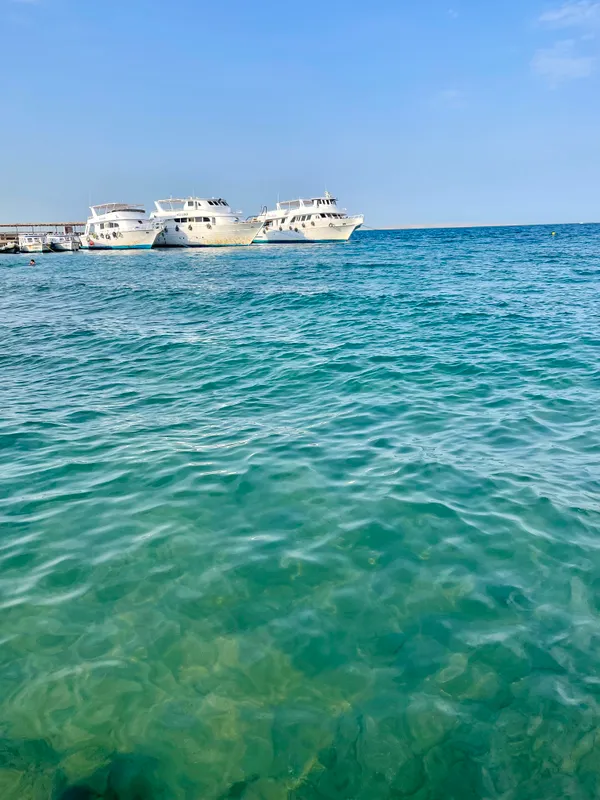 Aladdin Beach Resort фото 131