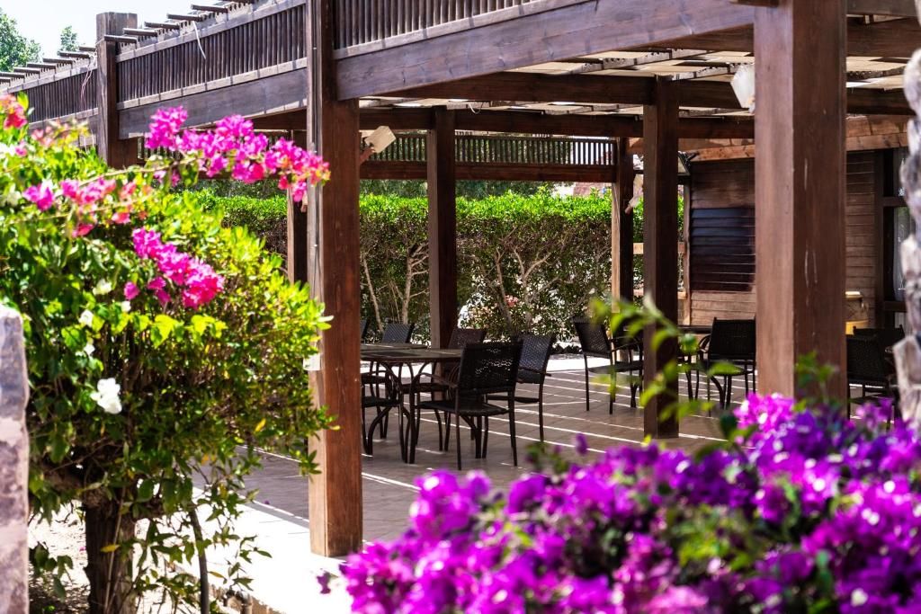 Abu Dabbab Lodge фото 26