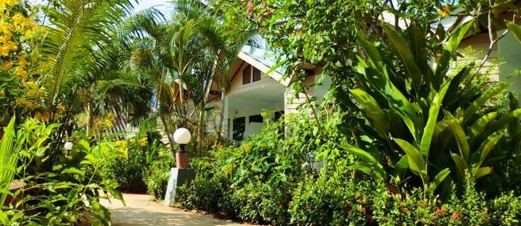 Фото отеля The Krabi Forest Homestay