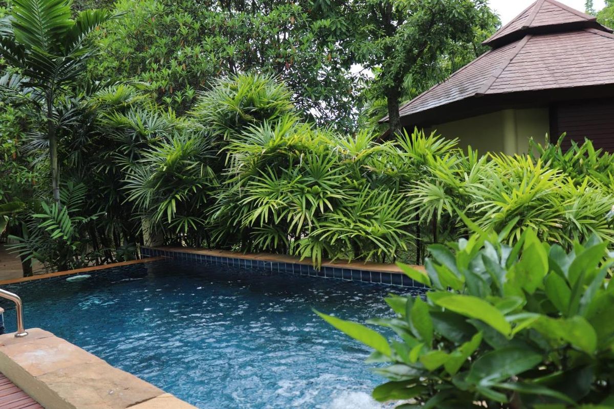 Seaview Resort Khao Lak фото 15