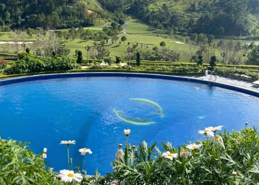 Swiss-Belresort Tuyen Lam фото 19