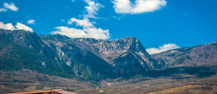 Фото отеля Бутик-отель «Мускатель»