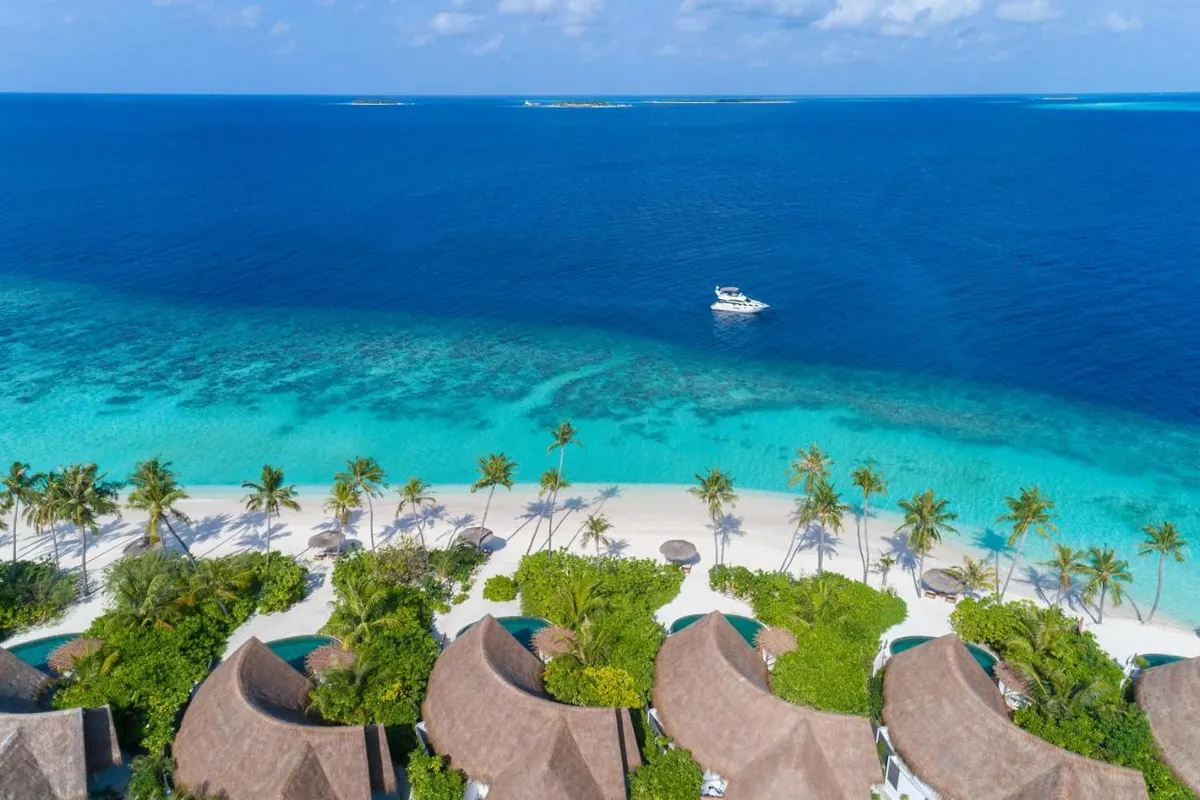 Milaidhoo Island Maldives фото 26