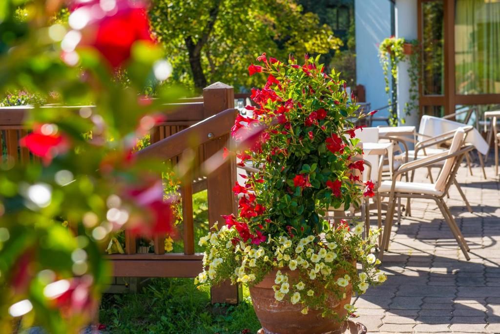 Hotel Das Gastein - Sommersaison Bergbahnen Inklusive фото 18