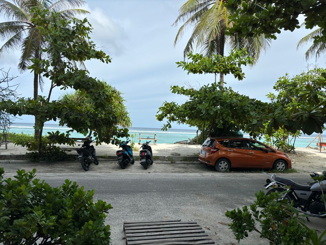 Guest House «The White Harp Beach Guest House» фото 27