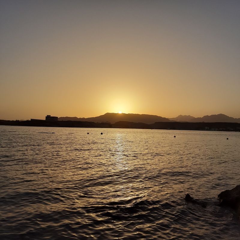 Pickalbatros Sharm Resort фото 36