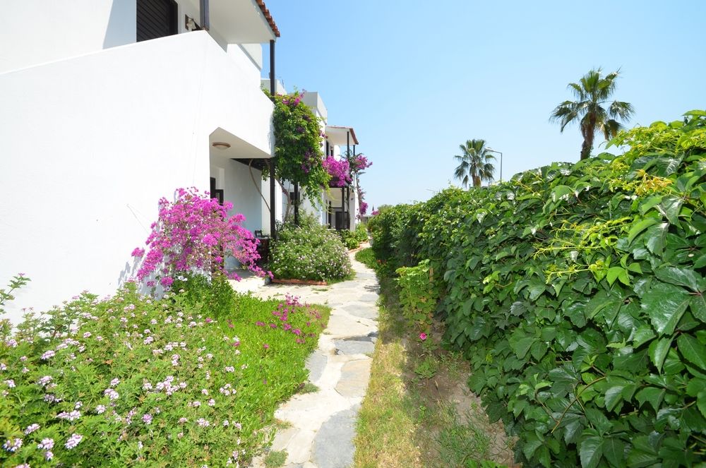 Salinas Beach Hotel фото 67