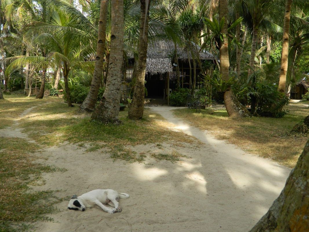 Boracay Huts фото 6