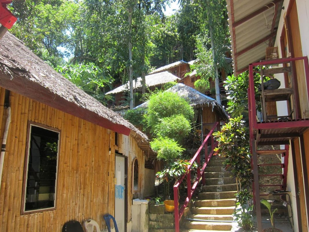 Bamboo Mountain View фото 50