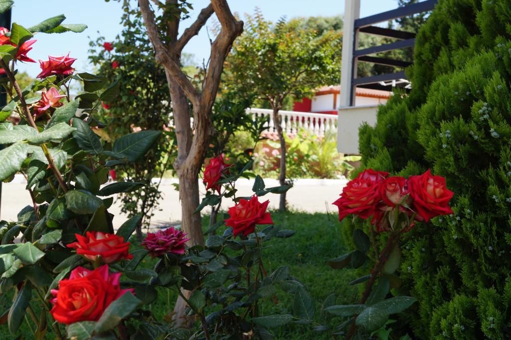 Brati Arcoudi Hotel фото 20