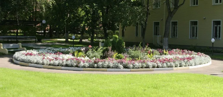 Фото отеля Санаторий «Сосны»