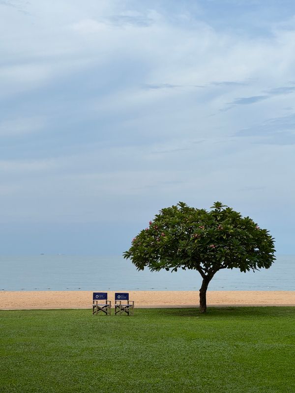 Botany Beach Resort фото 43