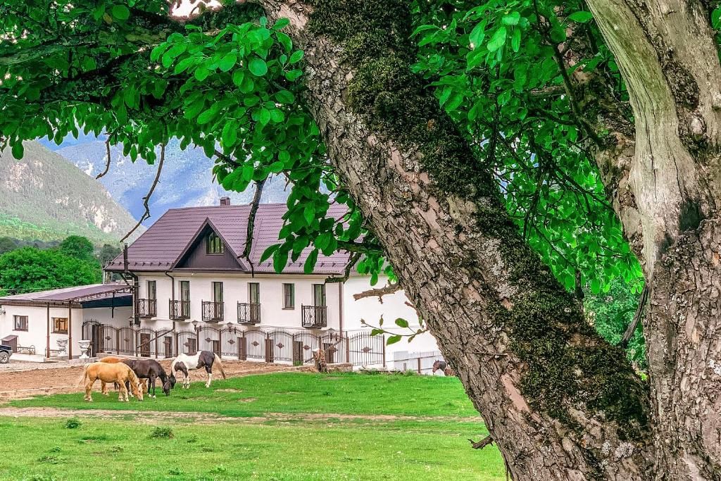 Горная Роза фото 9