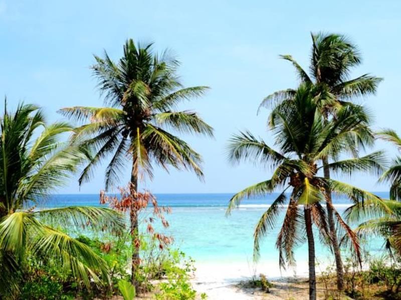 Velaa Beach фото 6
