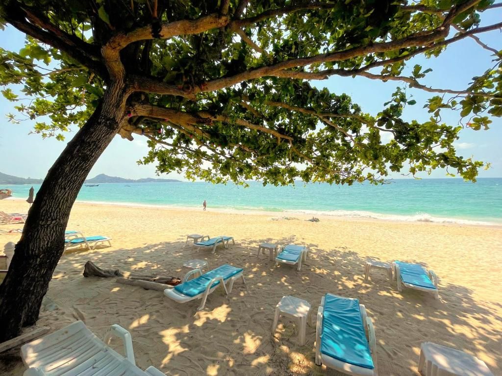 Samui Sense Beach Resort фото 32