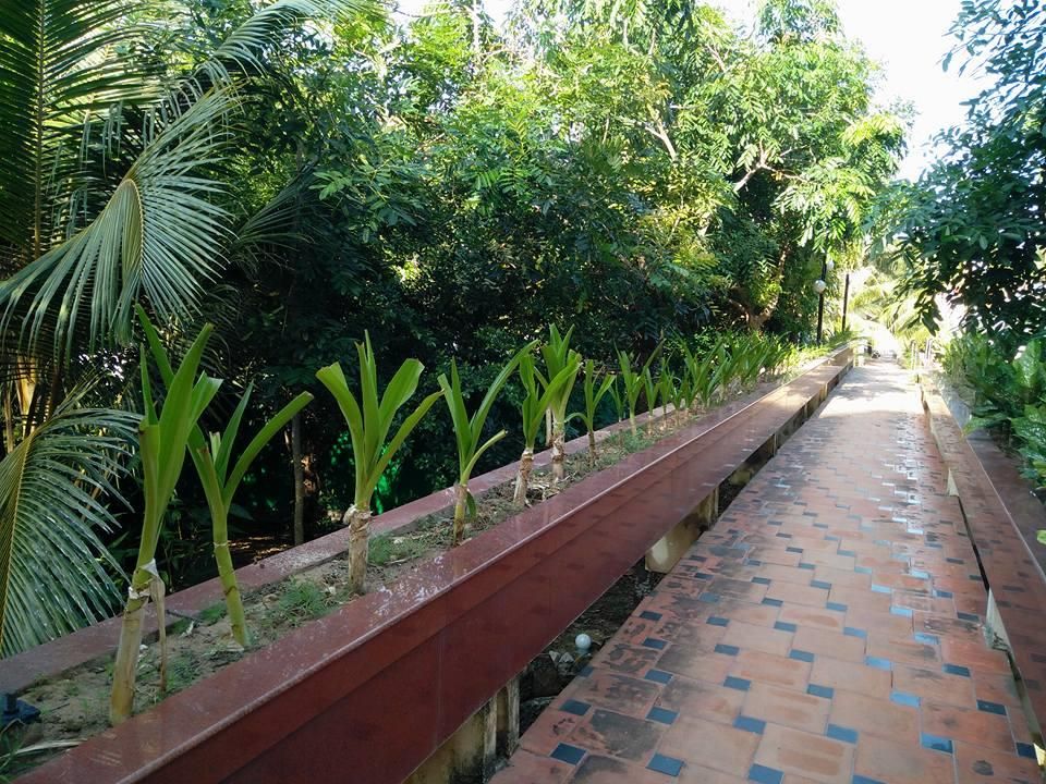 Cuu Long Phu Quoc Resort фото 13