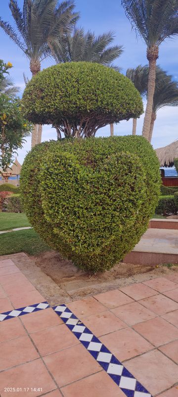 Sharm Grand Plaza Resort фото 68