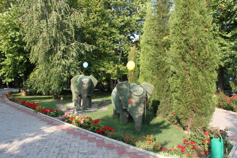 Пансионат ««Солнечный»» фото 89
