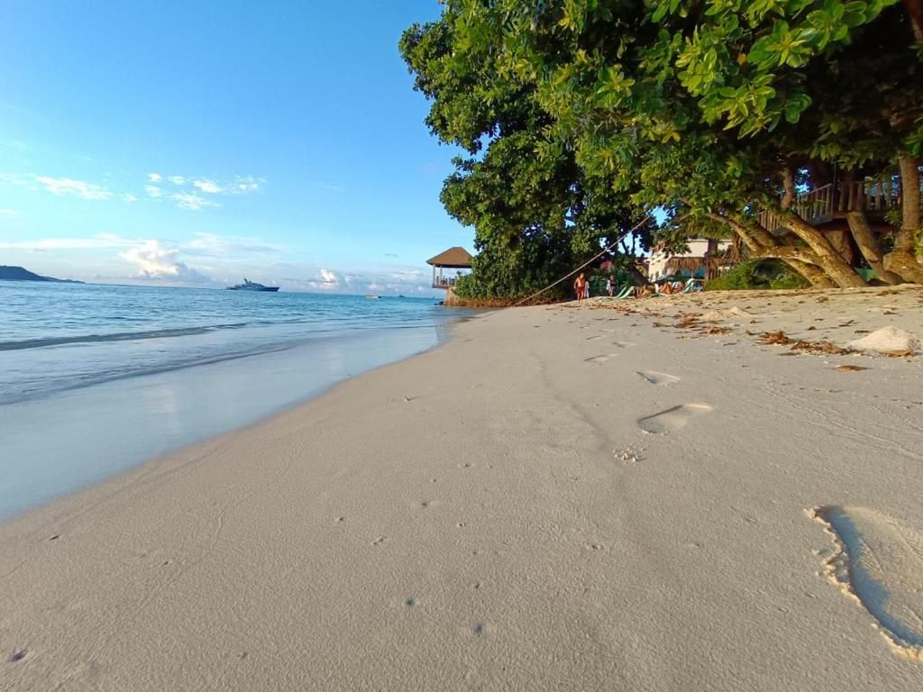 La Digue Luxury Beach Bungalow фото 0