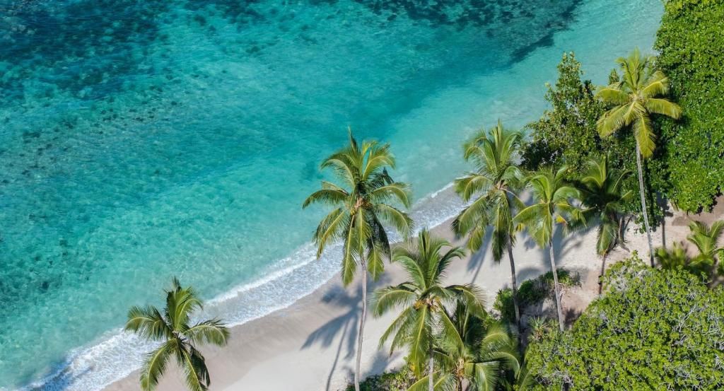 Avani Barbarons Seychelles Resort фото 69