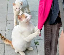 0