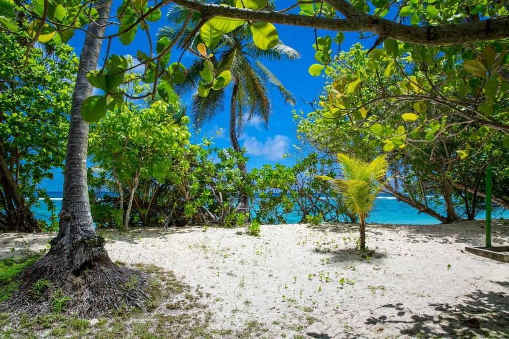 Chalets d'Anse Forbans SelfCatering фото 22
