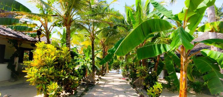 Фото отеля Blue Moon Resort