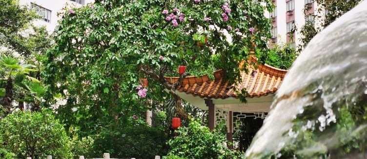 Фото отеля China