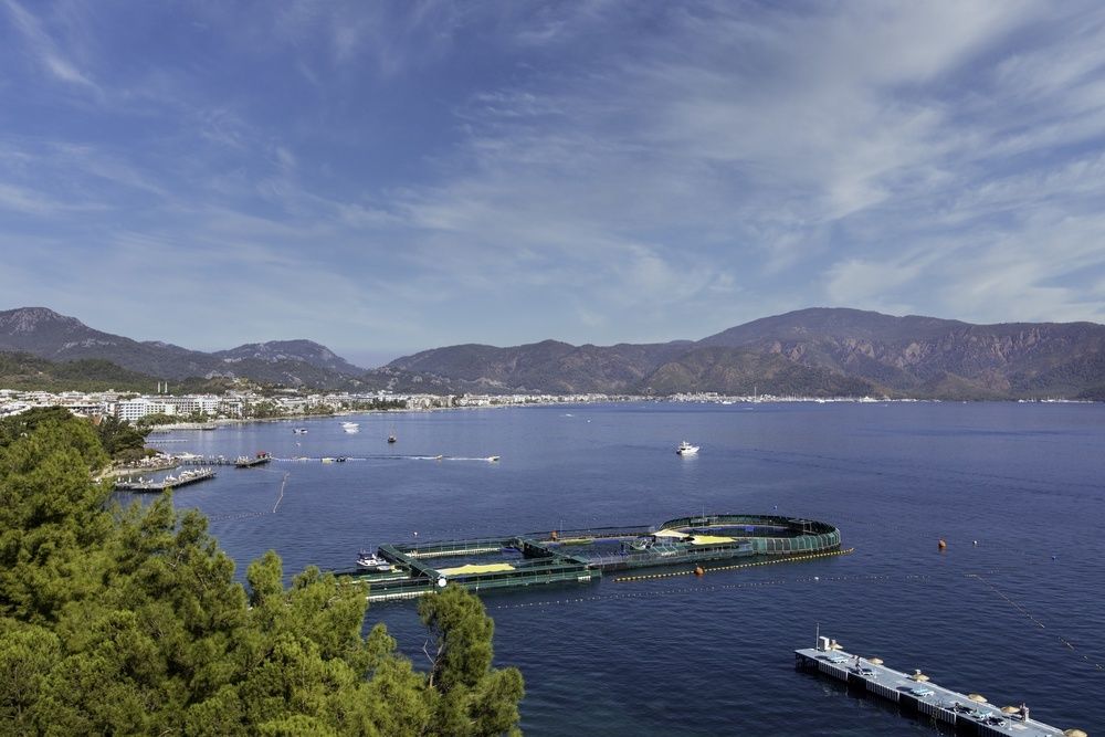 Labranda Mares Marmaris Hotel фото 213
