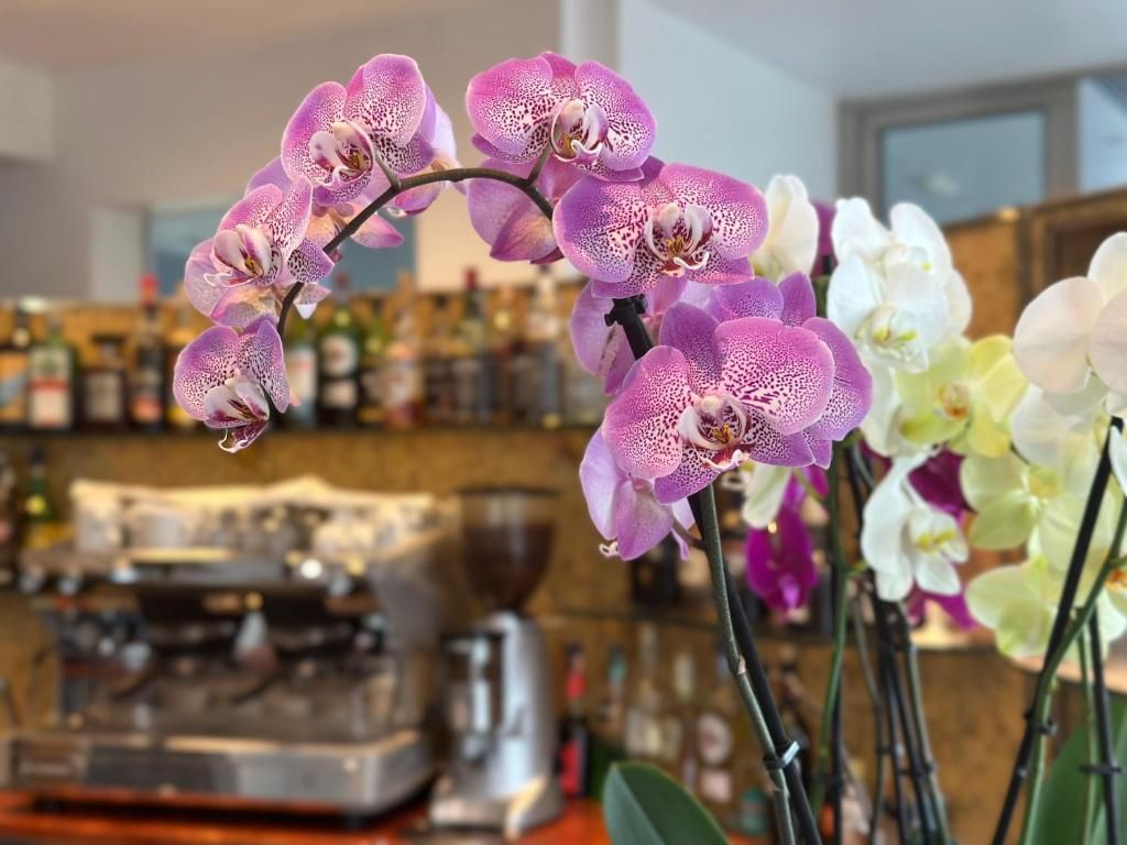 Club House Hotel фото 12