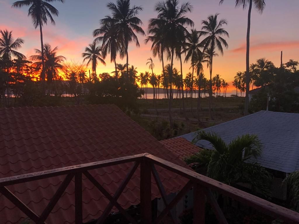 21 Palms фото 4