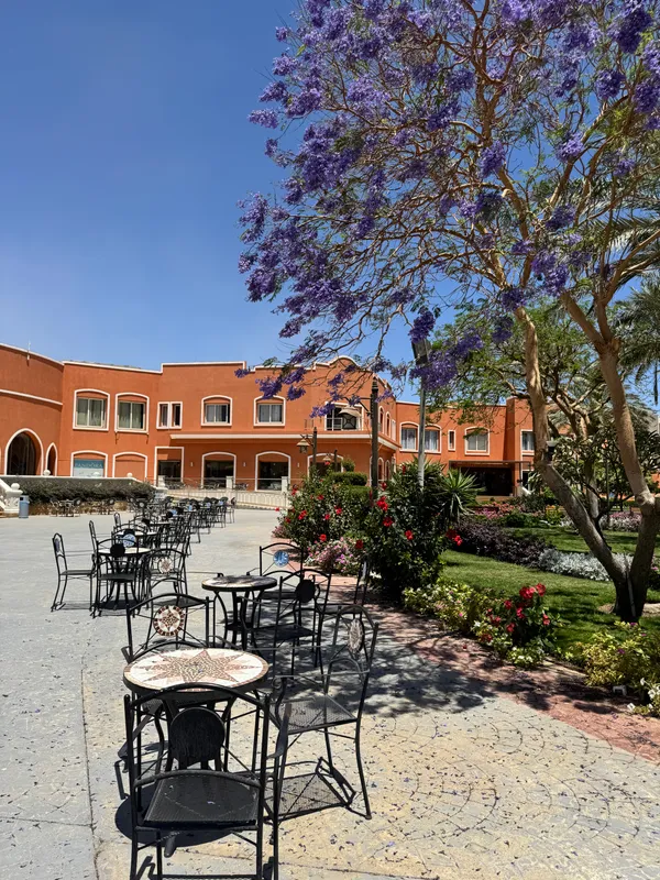 Sentido Caribbean World Resort Soma Bay фото 87