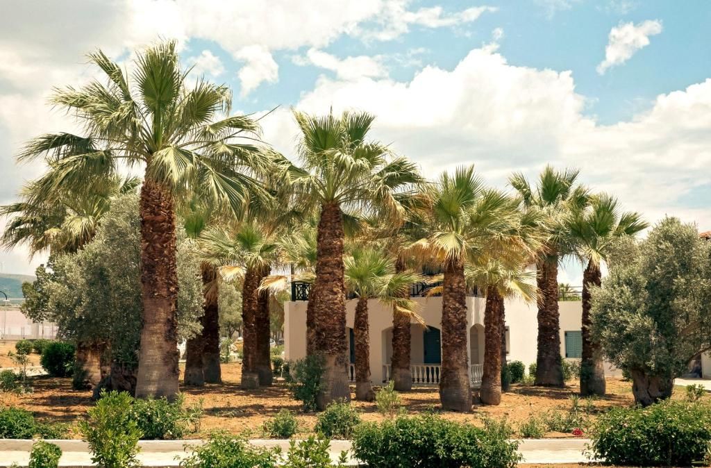 Eretria Hotel & Spa Resort фото 41