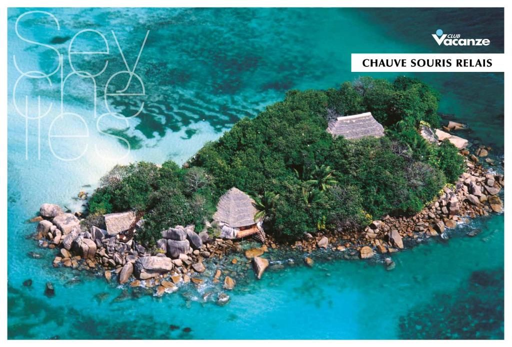 Chauve Souris Relais фото 36